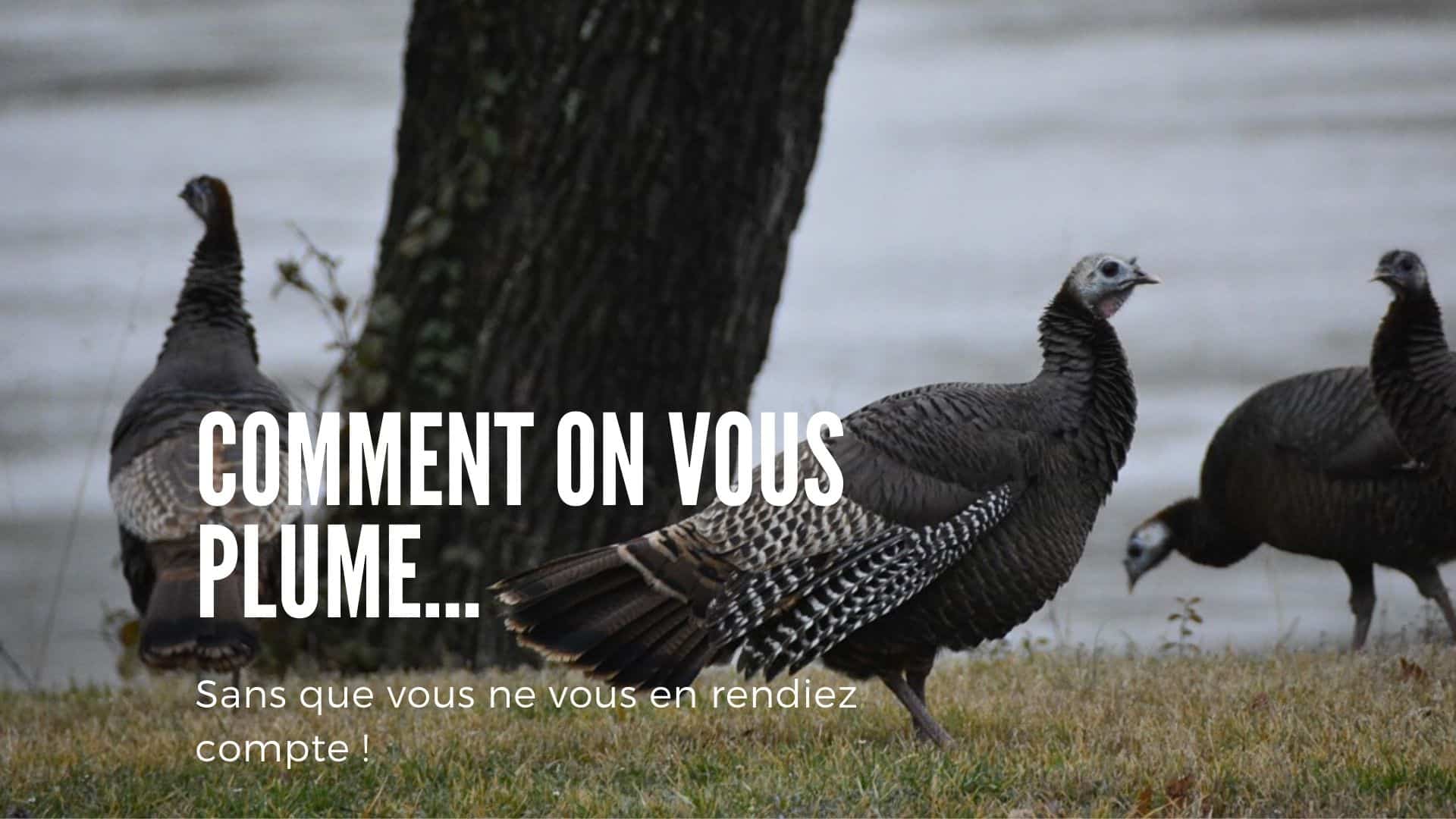 frais assurance-vie