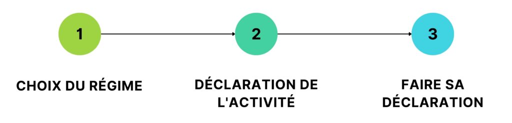 déclarer LMNP